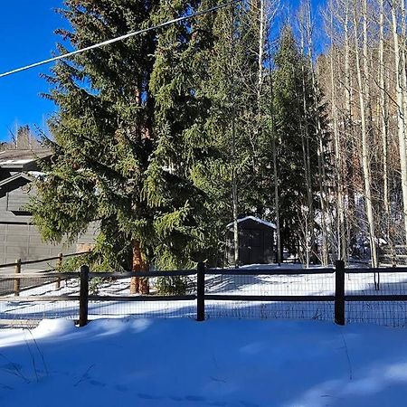 Private And Updated Breck Home With Hot Tub Breckenridge Luaran gambar