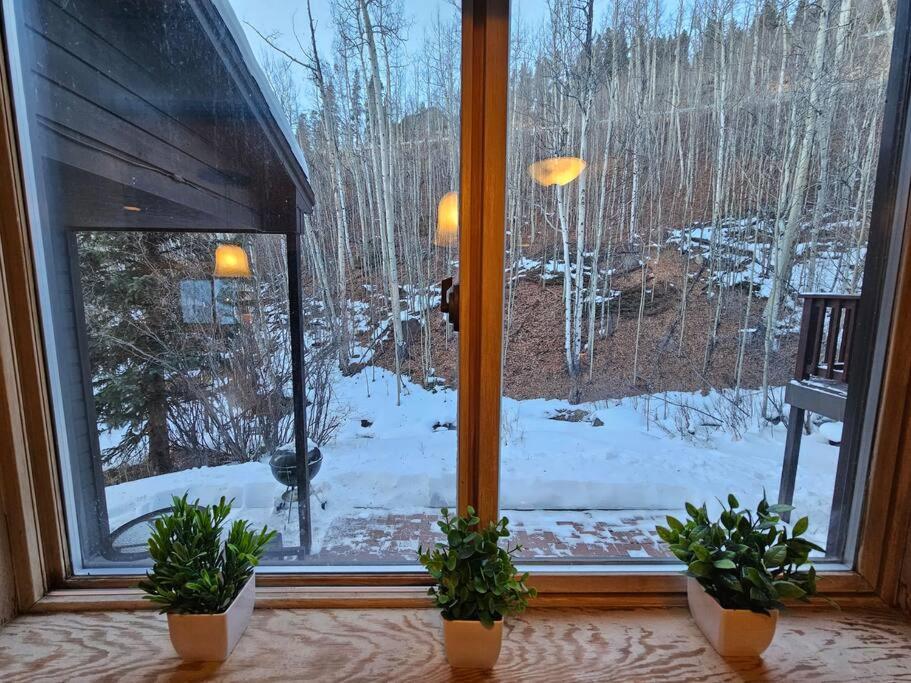 Private And Updated Breck Home With Hot Tub Breckenridge Luaran gambar